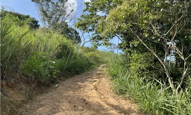 FINCA PRODUCTIVA EN GUADUAS
