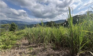 FINCA PRODUCTIVA EN GUADUAS