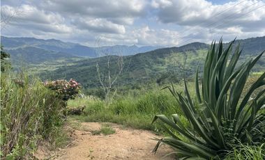 FINCA PRODUCTIVA EN GUADUAS