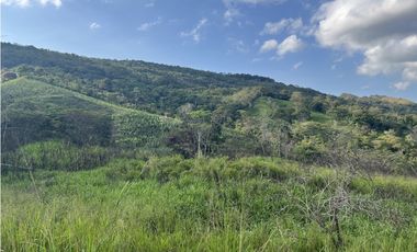 FINCA PRODUCTIVA EN GUADUAS