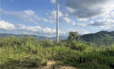 FINCA PRODUCTIVA EN GUADUAS