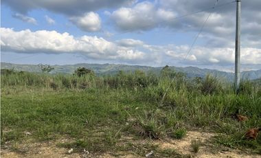 FINCA PRODUCTIVA EN GUADUAS
