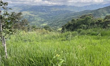 FINCA PRODUCTIVA EN GUADUAS