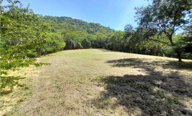 LOTE PARA LA VENTA HACIENDA EL PASO RICAURTE CUNDINAMARCA