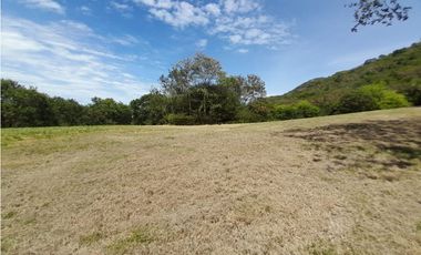 LOTE PARA LA VENTA HACIENDA EL PASO RICAURTE CUNDINAMARCA