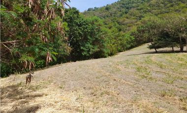 LOTE PARA LA VENTA HACIENDA EL PASO RICAURTE CUNDINAMARCA