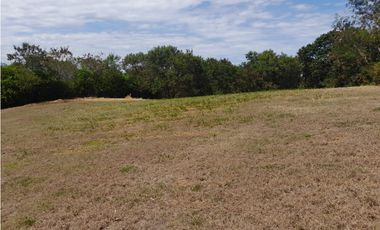 LOTE PARA LA VENTA HACIENDA EL PASO RICAURTE CUNDINAMARCA