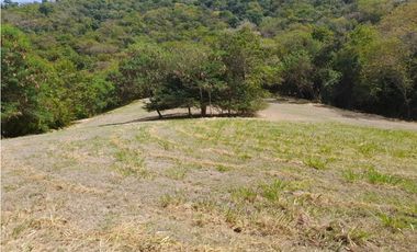 LOTE PARA LA VENTA HACIENDA EL PASO RICAURTE CUNDINAMARCA