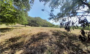 LOTE PARA LA VENTA HACIENDA EL PASO RICAURTE CUNDINAMARCA