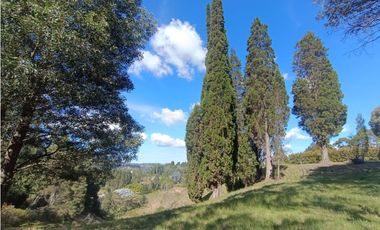 lote para venta Guarne sector hojas anchas 5558 m2