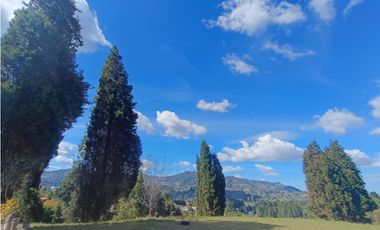 lote para venta Guarne sector hojas anchas 5558 m2