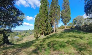 lote para venta Guarne sector hojas anchas 5558 m2