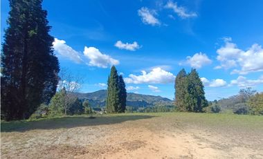 lote para venta Guarne sector hojas anchas 5558 m2