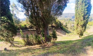 lote para venta Guarne sector hojas anchas 5558 m2