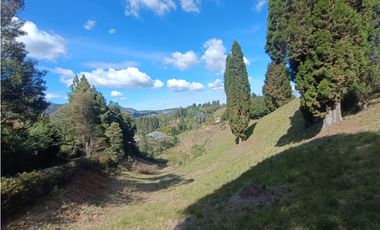 lote para venta Guarne sector hojas anchas 5558 m2