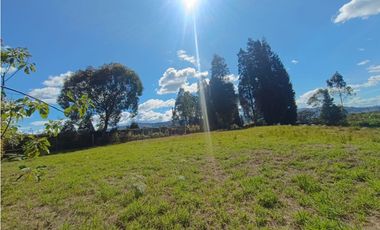 lote para venta Guarne sector hojas anchas 5558 m2