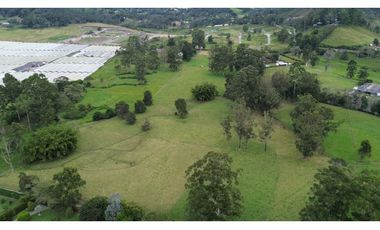 SE ARRIENDA FINCA EN LA CEJA PARA FLORISTERIA O GANADERA 22 cuadras