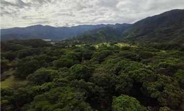 ARRIENDO APARTAMENTO PISO 2 SECTOR VERGEL