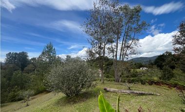 Alquiler de Casa en Alto Palmas en Madera Inmunizada en Unidad Cerrada