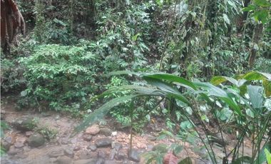 Lago Agrio Araza  Terreno en Venta, 1100m2