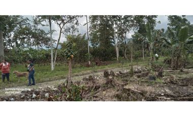 Imbabura ,Pimampiro sector El Inca Terreno en Venta, 20.720m2