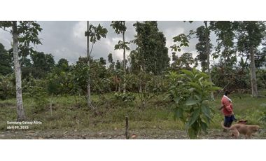 Imbabura ,Pimampiro sector El Inca Terreno en Venta, 20.720m2