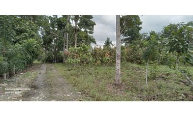 Imbabura ,Pimampiro sector El Inca Terreno en Venta, 20.720m2