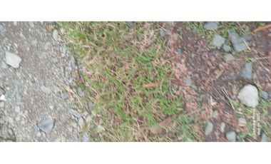 Imbabura ,Pimampiro sector El Inca Terreno en Venta, 20.720m2