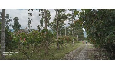 Imbabura ,Pimampiro sector El Inca Terreno en Venta, 20.720m2