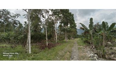Imbabura ,Pimampiro sector El Inca Terreno en Venta, 20.720m2