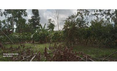 Imbabura ,Pimampiro sector El Inca Terreno en Venta, 20.720m2
