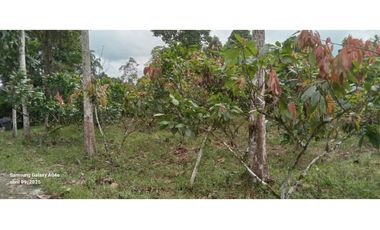 Imbabura ,Pimampiro sector El Inca Terreno en Venta, 20.720m2