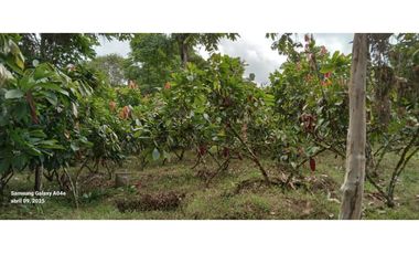 Imbabura ,Pimampiro sector El Inca Terreno en Venta, 20.720m2