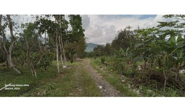 Imbabura ,Pimampiro sector El Inca Terreno en Venta, 20.720m2