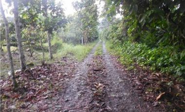 Azuay, Terreno en Venta, 20.017m2, Lote 2 y 3