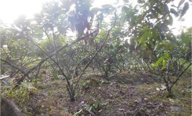 Azuay, Terreno en Venta, 20.017m2, Lote 2 y 3