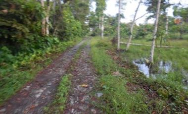 Azuay, Terreno en Venta, 20.017m2, Lote 2 y 3