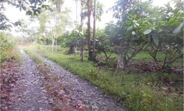 Azuay, Terreno en Venta, 20.017m2, Lote 2 y 3