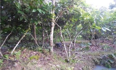 Azuay, Terreno en Venta, 20.017m2, Lote 2 y 3