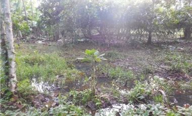 Azuay, Terreno en Venta, 20.017m2, Lote 2 y 3