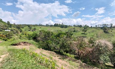 Venta Lotes En Parcelacion - Vereda El Hato - La Mesa
