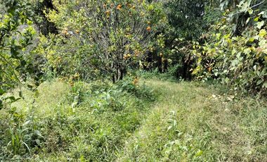 Venta Lotes En Parcelacion - Vereda El Hato - La Mesa