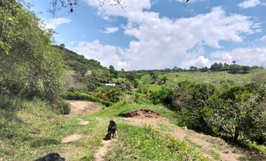 Venta Lotes En Parcelacion - Vereda El Hato - La Mesa