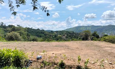 Venta Lotes En Parcelacion - Vereda El Hato - La Mesa