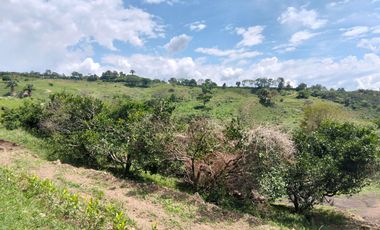 Venta Lotes En Parcelacion - Vereda El Hato - La Mesa