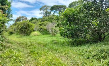 Venta Lotes En Parcelacion - Vereda El Hato - La Mesa