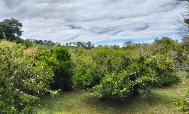 Venta Lotes En Parcelacion - Vereda El Hato - La Mesa