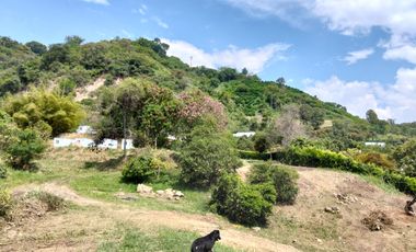 Venta Lotes En Parcelacion - Vereda El Hato - La Mesa