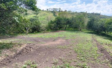 Venta Lotes En Parcelacion - Vereda El Hato - La Mesa