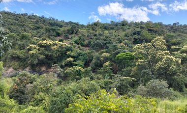Venta Lotes En Parcelacion - Vereda El Hato - La Mesa